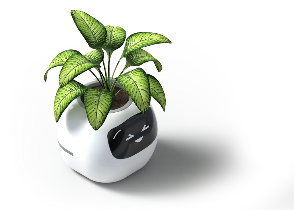 Gravy-View 5 copy.webp